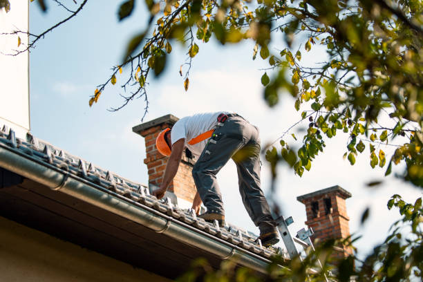Best Roof Leak Repair  in Dexter, GA