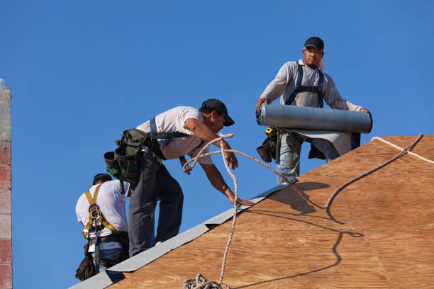 Best Flat Roof Repair Services  in Dexter, GA