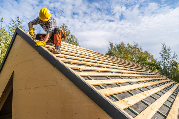 Best Local Roofing Companies  in Dexter, GA